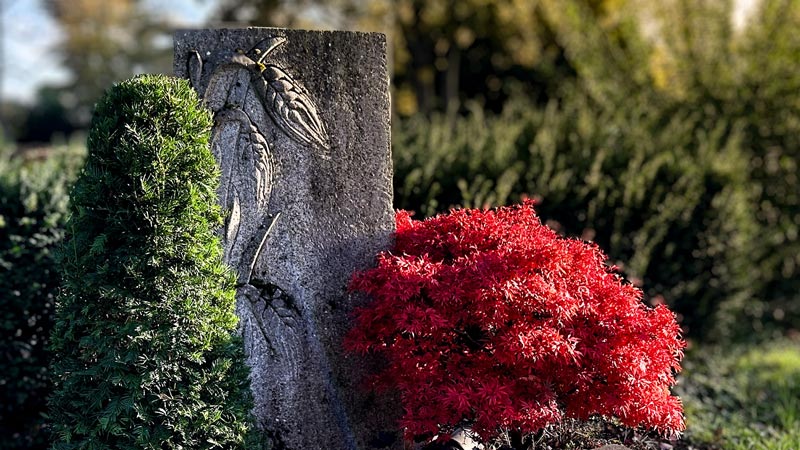 Stille Feiertage im November: Zeit des Gedenkens an die Verstorbenen