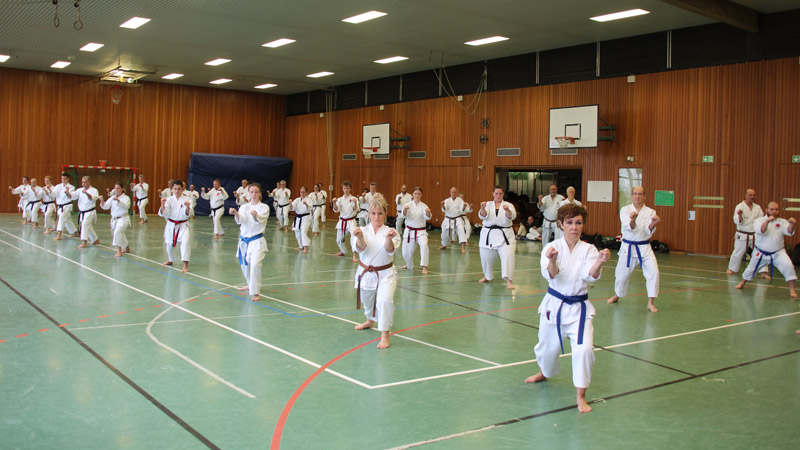 Neue DAN-Diplome beweisen die erfolgreiche Teilnahme an Lehrgängen und Prüfungen