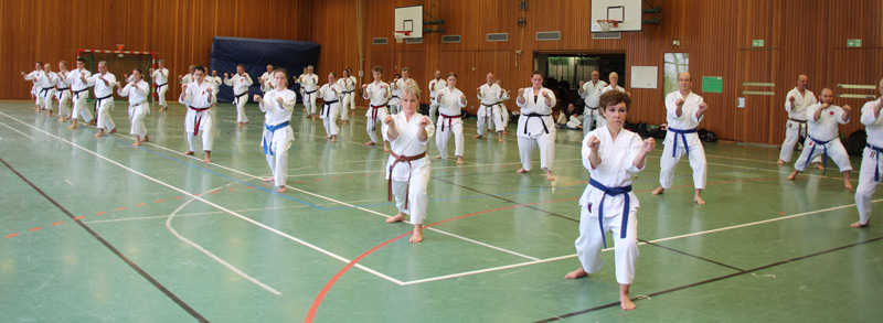 Neue DAN-Diplome beweisen die erfolgreiche Teilnahme an Lehrgängen und Prüfungen