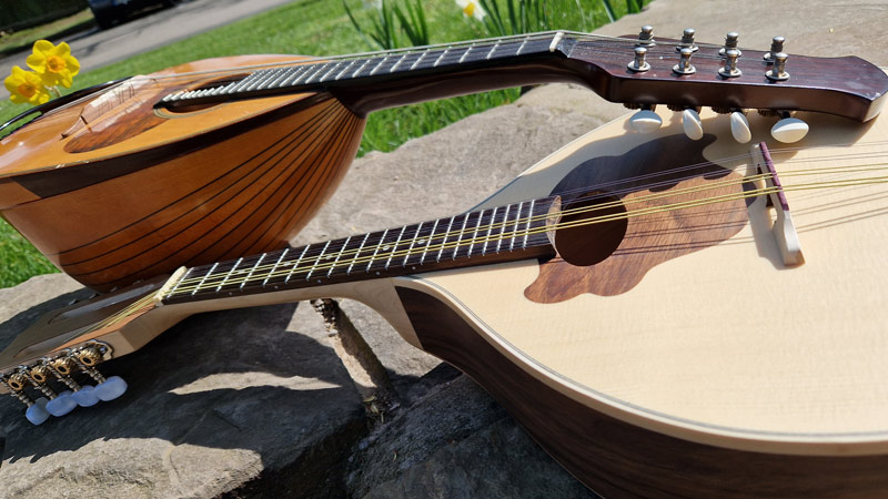 Die städtischen Musikschule bietet unter anderem Mandolinenunterricht an