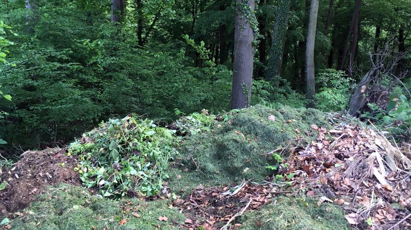Ein großer Haufen Gartenabfälle gehört natürlich nicht in den Wald