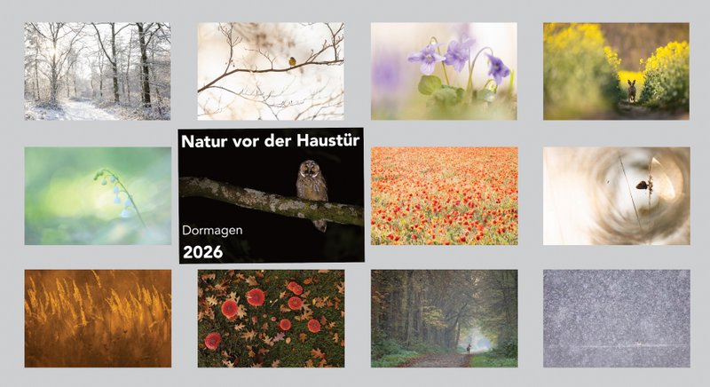 Auf den einzelnen Seiten sieht man diese Fotos im Großformat