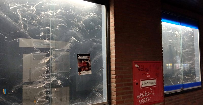 Was für ein schrecklicher Anblick mitten in der City