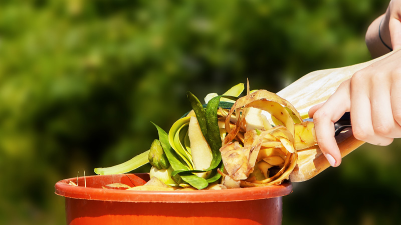 Bioabfälle sollten über die Biotonne entsorgt werden