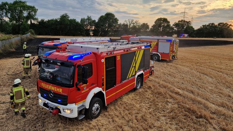 Die Feuerwehr konnte einen großen Flächenbrand verhindern