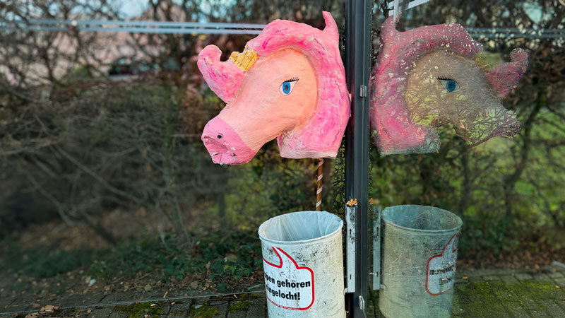 Selbst Einhörner fahren mit dem StadtBus – zumindest an Karneval 🦄🚍