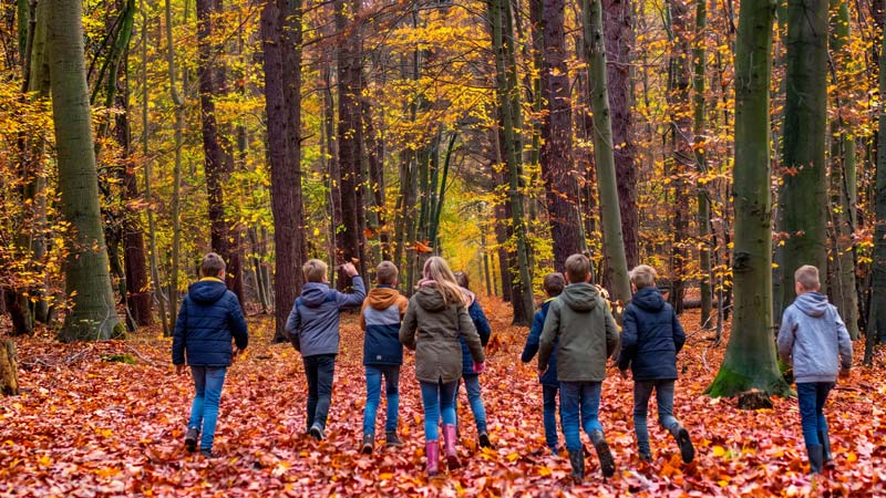 Bei gutem Herbstwetter machen Ferien-Aktivitäten im Wald großen Spaß