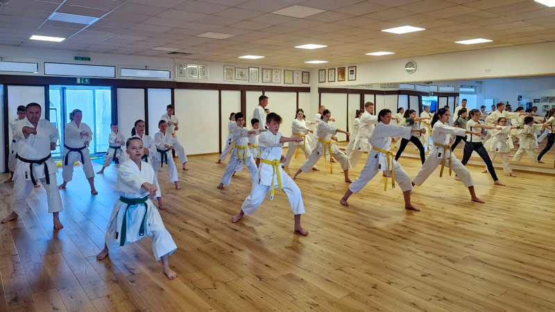 Shirai Dormagen hat noch freie Plätze im Karate-Anfängerkurs