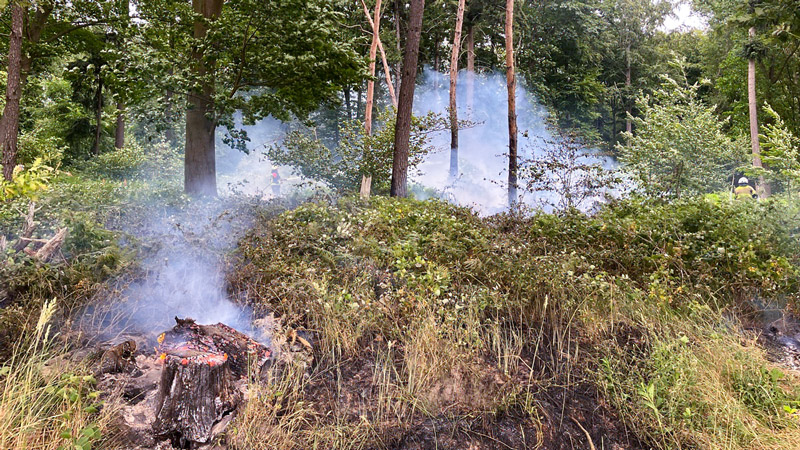Der Waldbrand war an drei verschiedenen Stellen ausgebrochen