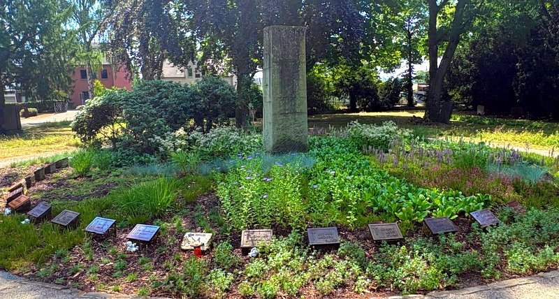 Astern, Thymian, Heidekraut und weitere Pflanzen wachsen nun zwischen den Mahntafeln