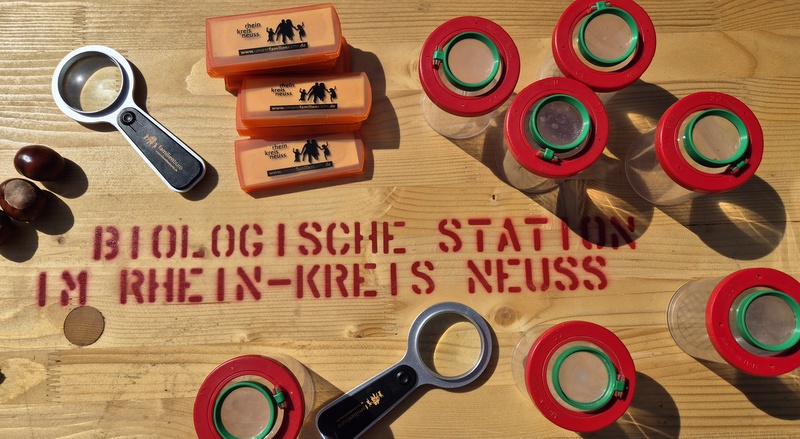 „Naturdetektive unterwegs“ – unter diesem Motto können Familien mit Kindern bei einem Spaziergang die Natur erforschen